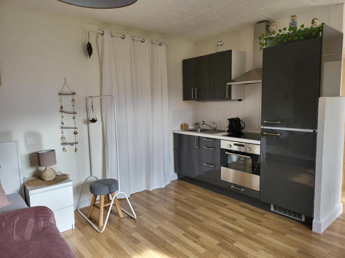 Studio Des Fontanettes Miege Экстерьер фото