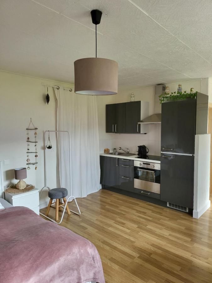 Studio Des Fontanettes Miege Экстерьер фото
